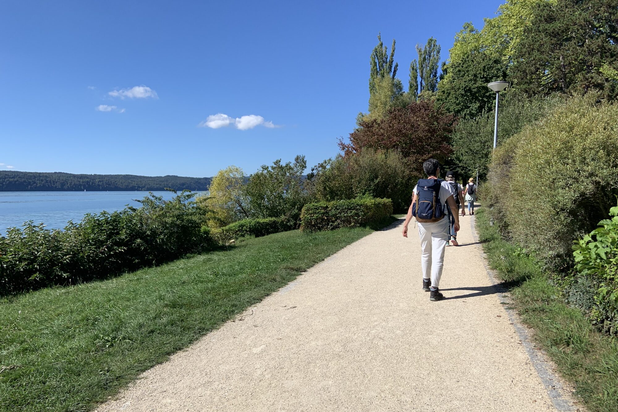 Im Grünen still den „Freund des Lebens“ suchen (Weish 11,23-26)