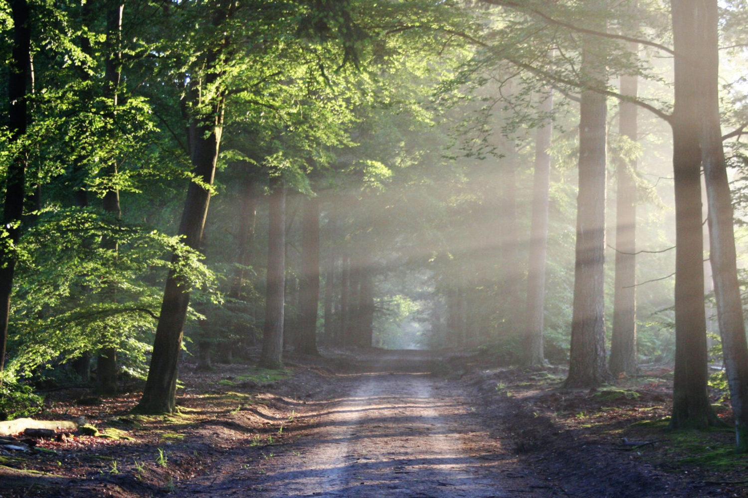 Der Weg allein zum Haus zurück