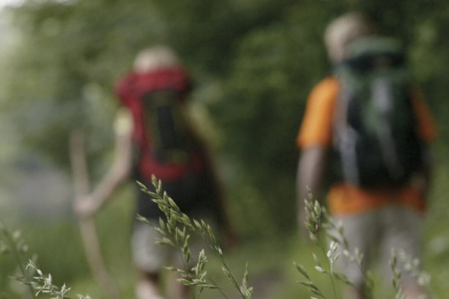 Trauer geht und Liebe bleibt. - Vom Umgang mit Trauer und ihrem Wandel