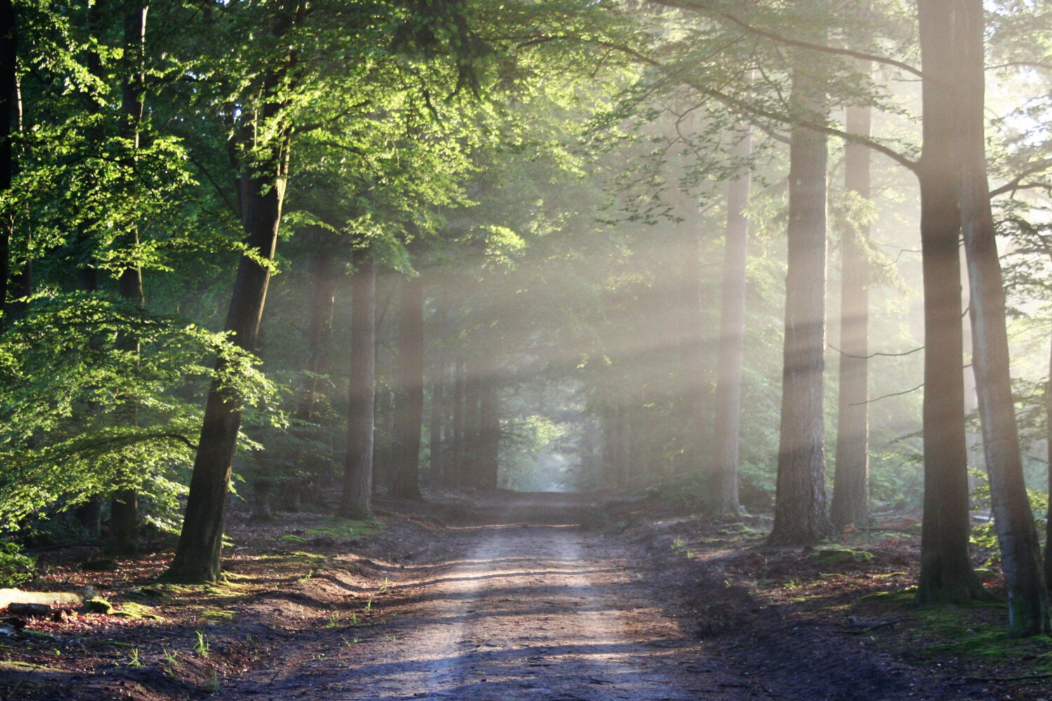 Der Weg allein zum Haus zurück