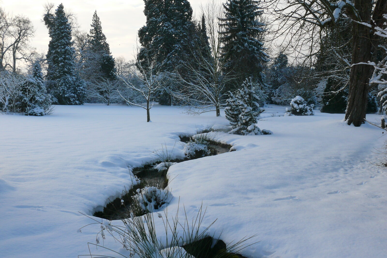 Den Winter feiern